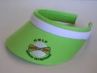 green-team-visires-golf-logo